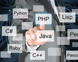 應(yīng)用軟件開發(fā)與培訓(xùn) 數(shù)字化時(shí)代的核心競(jìng)爭(zhēng)力