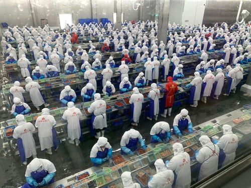 價格大跳水，潛江龍蝦如何應對市場波動——記者一線調研產業鏈各環節的“穩定器”